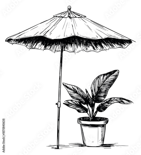 Hand drawn line art illustration of a parasol and potted plant depicting an outdoor scene for summer design