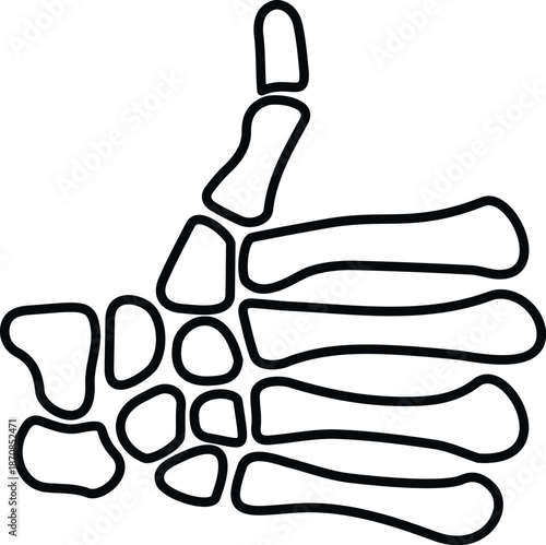 Skeleton hand bones forming a thumbs up gesture, symbolizing approval and success