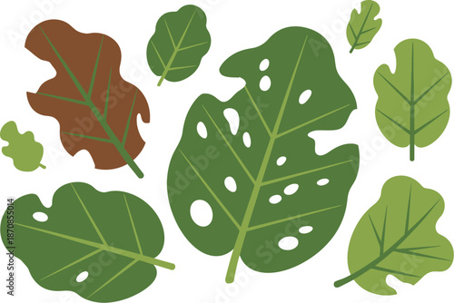 Assorted stylized leaves show organic damage against a white.