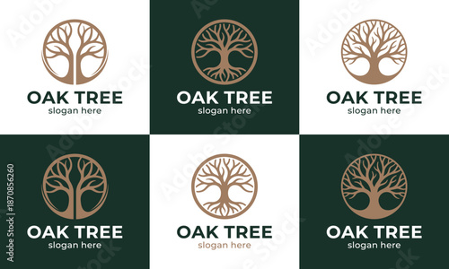 Set of oak tree logo design template illustration. Abstract tree with minimalist design vector icon symbol