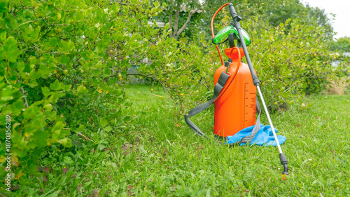 Gardening equipment for spraying plants, agricultural machinery, garden maintenance, crop processing, plant protection from pests and diseases, agricultural equipment. High quality photo