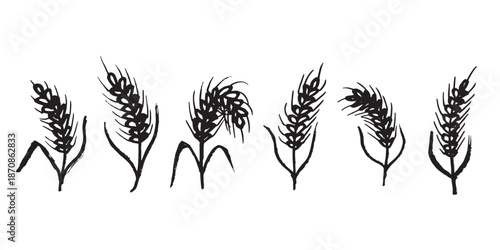 Set of hand drawn cereal wheat oat rye barley rice ears spikelet clipart Organic wheat bread agriculture farming harvest healthy food Single element for design print packaging label decor