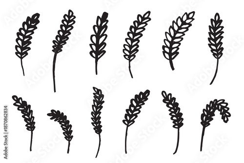 Set of hand drawn cereal wheat oat rye barley rice ears spikelet clipart Organic wheat bread agriculture farming harvest healthy food Single element for design print packaging label decor