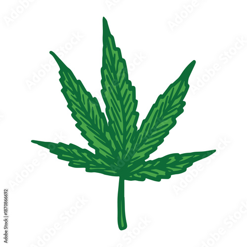 Hand drawn cannabis leaf Medicine marijuana Hemp leaves clipart in doodle style Single element for print, web, design, decor