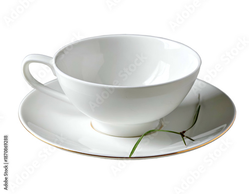 Delicate white teacup and saucer with gold rim and sprig