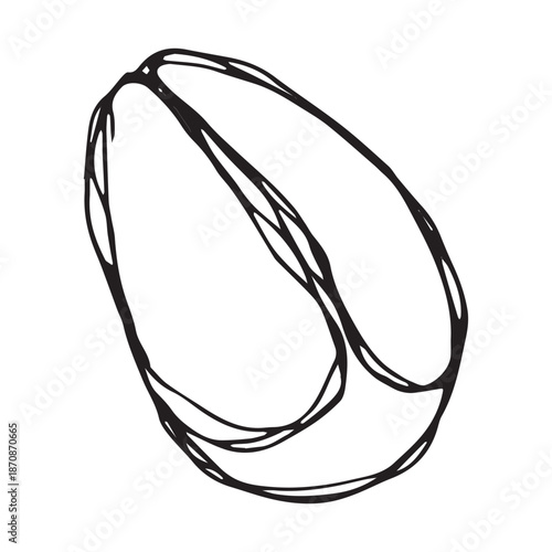 Hand drawn fresh roasted coffee bean Arabica robusta seed doodle Single element for print, web, design, decor