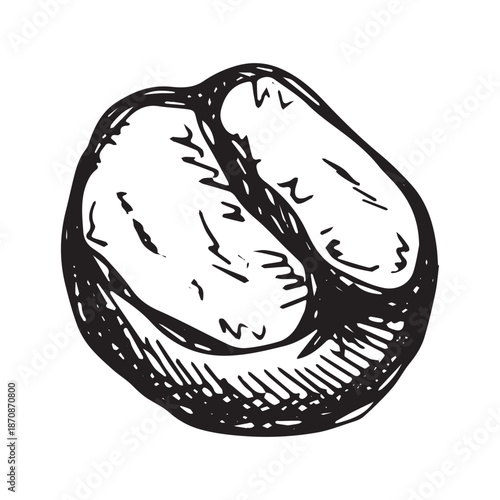 Hand drawn fresh roasted coffee bean Arabica robusta seed doodle Single element for print, web, design, decor