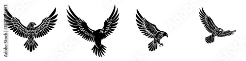 Detailed Lineart Eagle Flying Silhouette Various Pose Wildlife Illustration