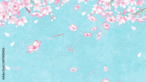 Falling Cherry Blossom Petals Spring Illustration Animation:sakura