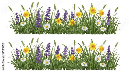 Spring green grass border with yellow daffodils purple lupine flowers and white daisies horizontal floral meadow banner for nature design