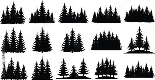 Pine forest silhouettes set, evergreen conifer trees groups, woodland nature landscape elements, black vector illustration collection isolated