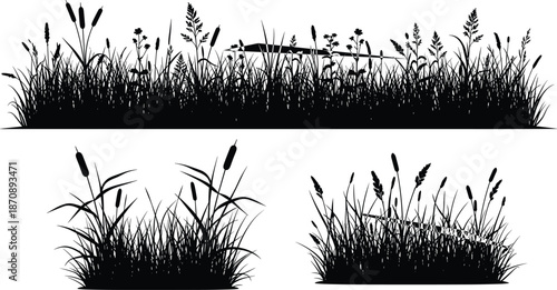 Wild grass silhouettes set, meadow plants reeds cattails border, natural landscape elements, black vector illustration collection isolated