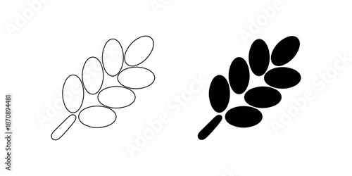 Natural branch with oval leaves icon set in thin line and solid black silhouette versions