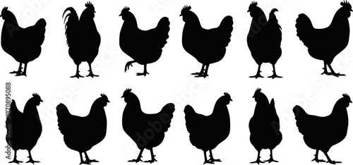 Chicken and rooster silhouette vector set, farm poultry collection in black, hen cock shapes for agriculture design, logo, illustration