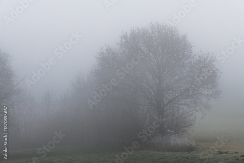 November Nebel Landschaften im Winter im bayerischen Wald, Deutschland