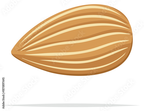 Isolated almond seed close up illustration, healthy organic food concept