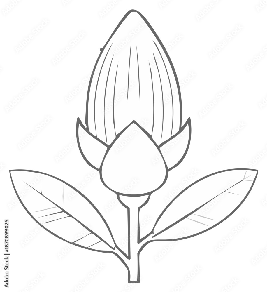 Obraz premium Floral illustration of a bud and leaves with a stem.