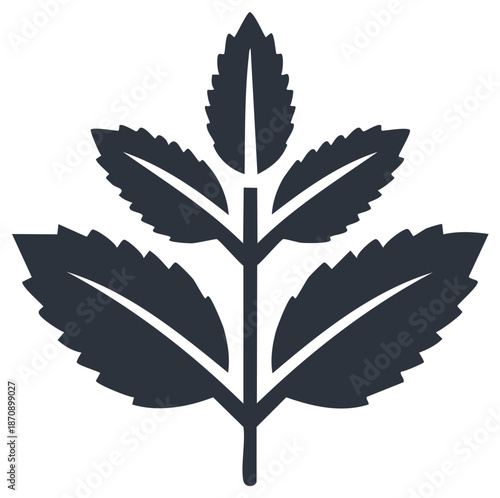 Stylized Dark Blue Mint Plant Silhouette with Serrated Leaves