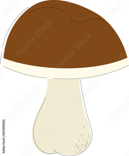 Porcini mushroom illustration. King bolete mushroom