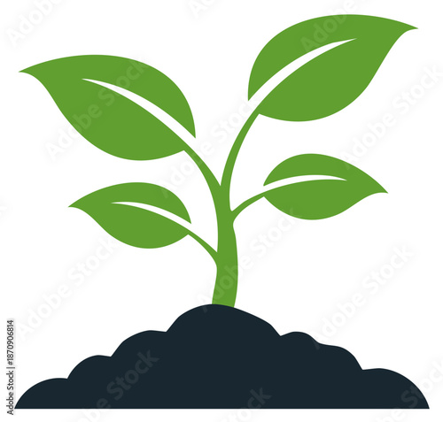 Vibrant green young plant with multiple leaves emerging from fertile dark soil, symbolizing growth and new beginnings