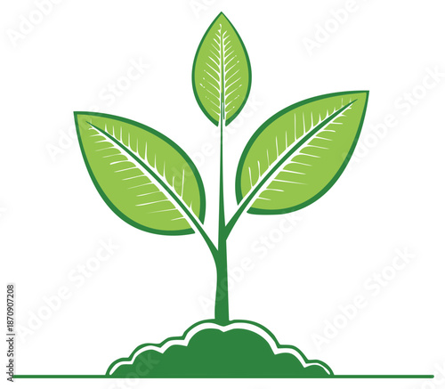 Green seedling sprouts from rich soil symbolizing growth and new beginnings