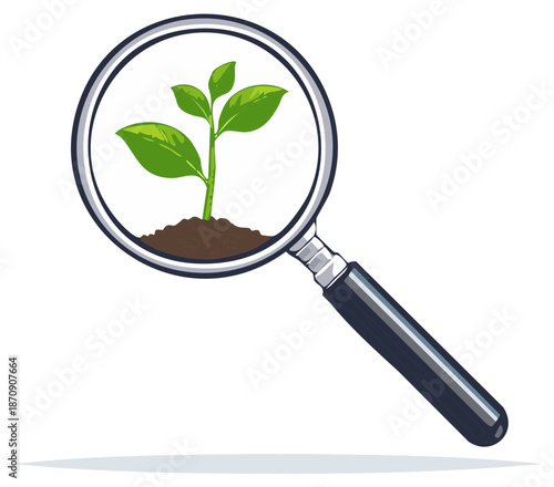 Magnifying glass examines a small green plant growing in soil