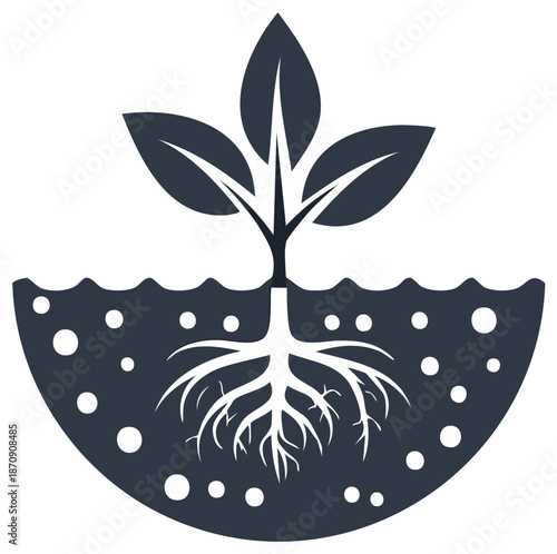 Plant with Visible Roots Growing in Soil Underground