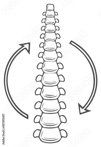 Anatomical Illustration of Human Spine with Arrows Showing Flexibility and Movement