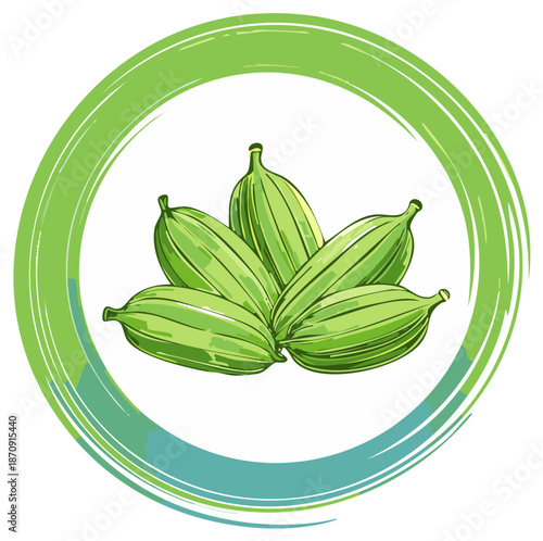 Hand drawn illustration of green cardamom pods spice in a circular brush stroke frame
