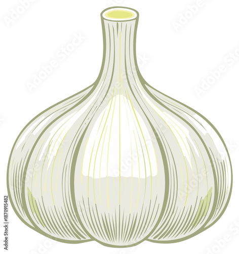 Detailed artistic garlic illustration featuring natural textures and subtle color details in vector format.