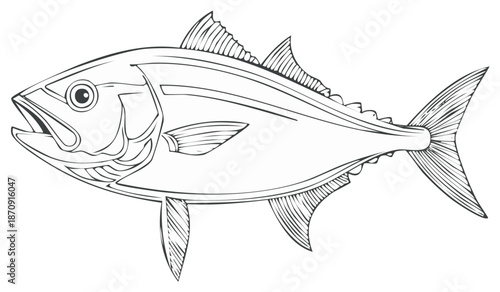 Monochrome line illustration of a tuna fish detailing fins and mouth