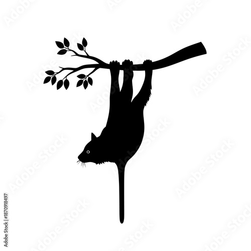 Black silhouette of a cat hanging upside down from a tree branch.