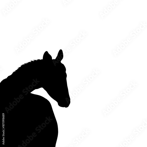 Elegant Black Horse Silhouette Against a Clean White Background.