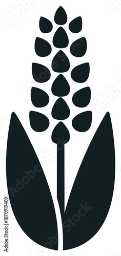 Flat vector dark icon of a grain stalk or hop for organic farming and natural products