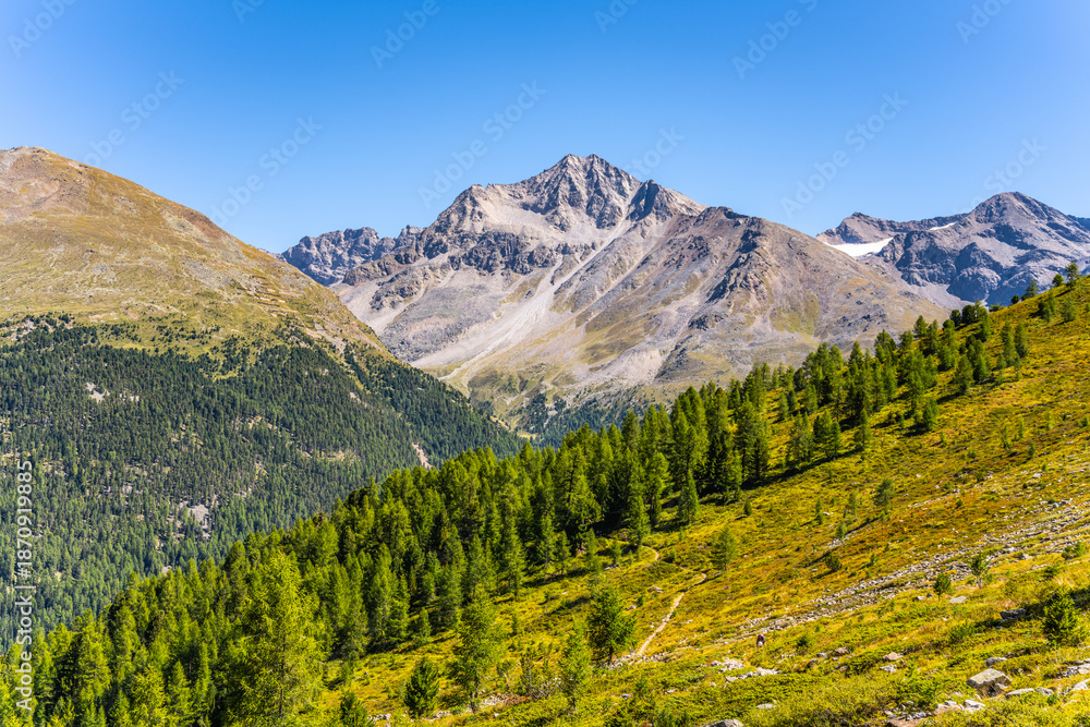 Fototapeta premium Lush greenery and rocky peaks characterize the Ortler Alps in Italy. The clear blue sky enhances the beauty of the landscape, inviting hikers and nature lovers to explore.