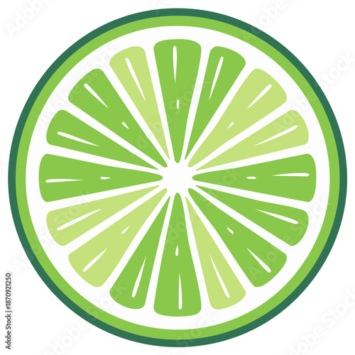 Vibrant green lime fruit slice graphic illustration fresh citrus cross section