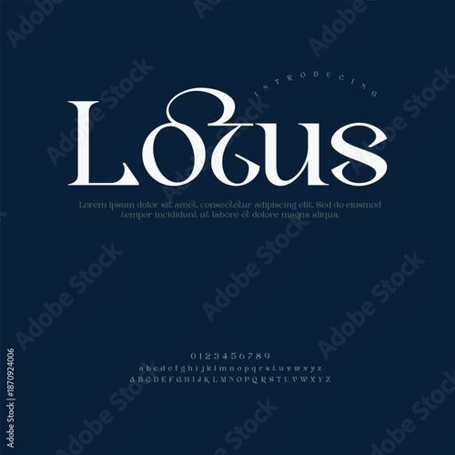 Symmetrical Lotus Flower Illustration for Wellness Spa and Yoga Studio Logo Design