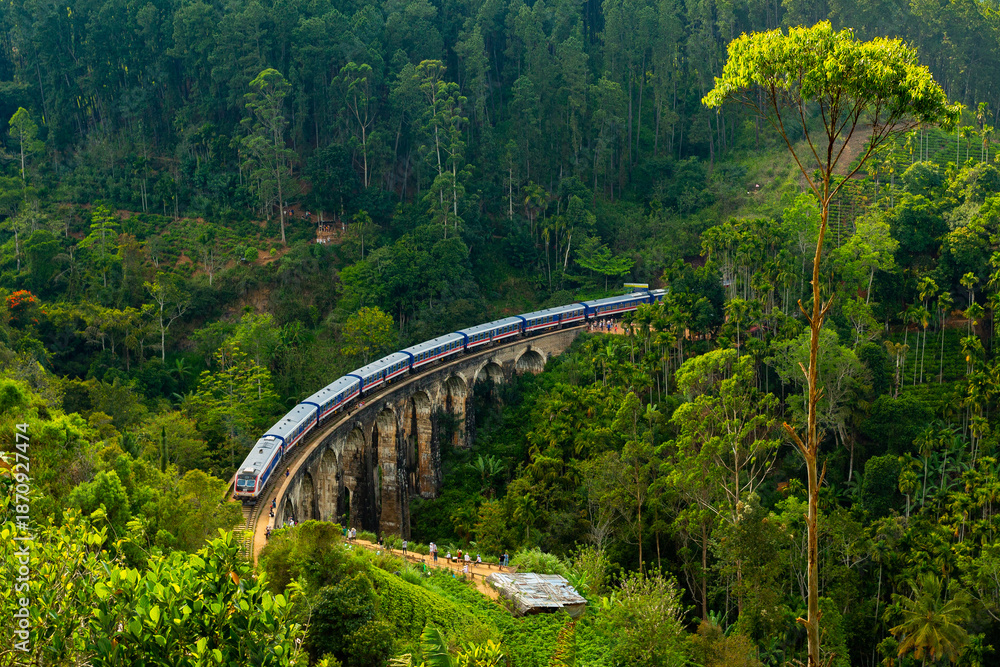 Fototapeta premium Nine arches bridge in Ella, Sri Lanka