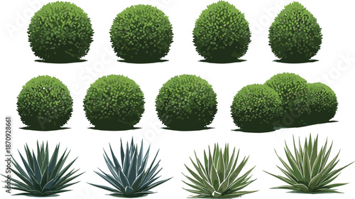 Bush and shrub vector illustration set with green hedges and agave plants, garden landscaping elements isolated on white background