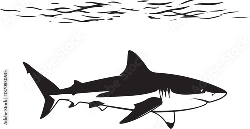 Flying Birds Flock Silhouette in the Sky

Migratory Birds Black and White Silhouette

Birds in Flight Nature Vector Illustration