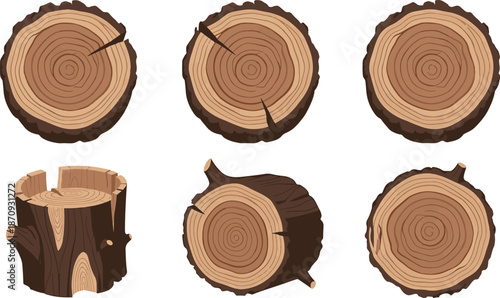 Set of six sliced tree stump and wooden logs cross section elements vector