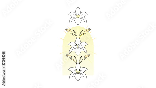 Elegant white lilies with sunshine background