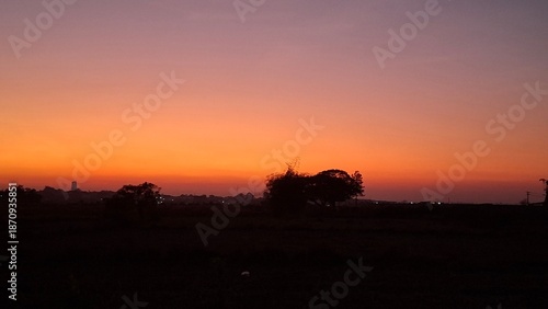 Scenic silhouette of trees against a vibrant sunset horizon.