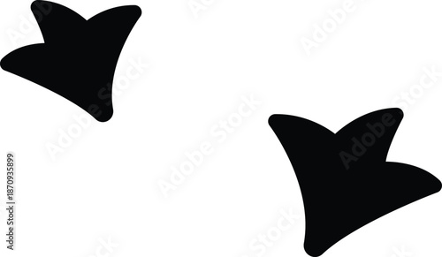 Two black birds flying in sky