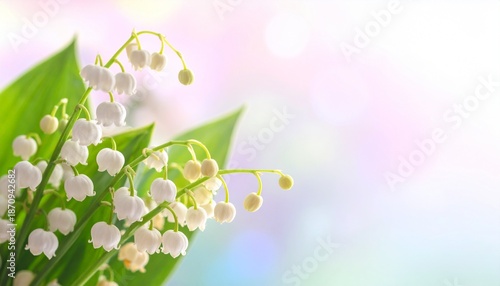 Lilly of the valley white springtime flowers on pastel pale blurred background.