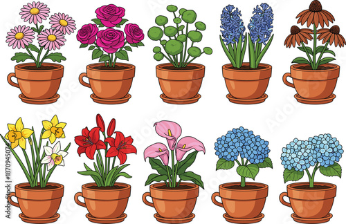 Potted flowering plant illustration set with colorful garden flowers in ceramic pots for home decor vector design