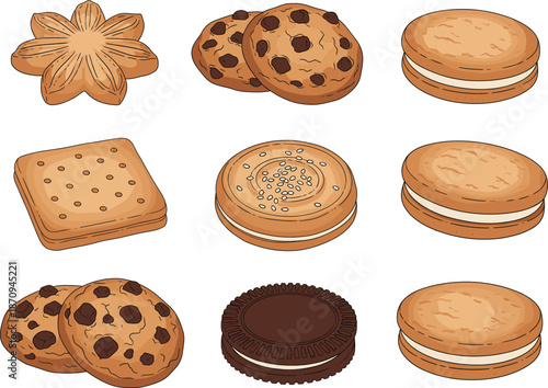 Cookie and biscuit illustration set with chocolate chip, sandwich and assorted sweet bakery snack vector collection