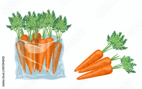 Bundle of Fresh Carrots with Green Leaves in Plastic Bag