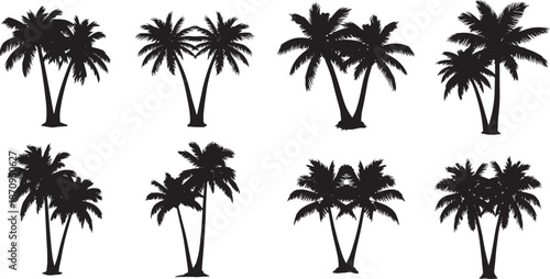 Palm tree silhouettes on transparent background vector illustration set