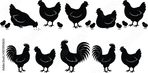Chicken and rooster silhouette set with hens chicks and poultry farm birds in various standing feeding and resting poses